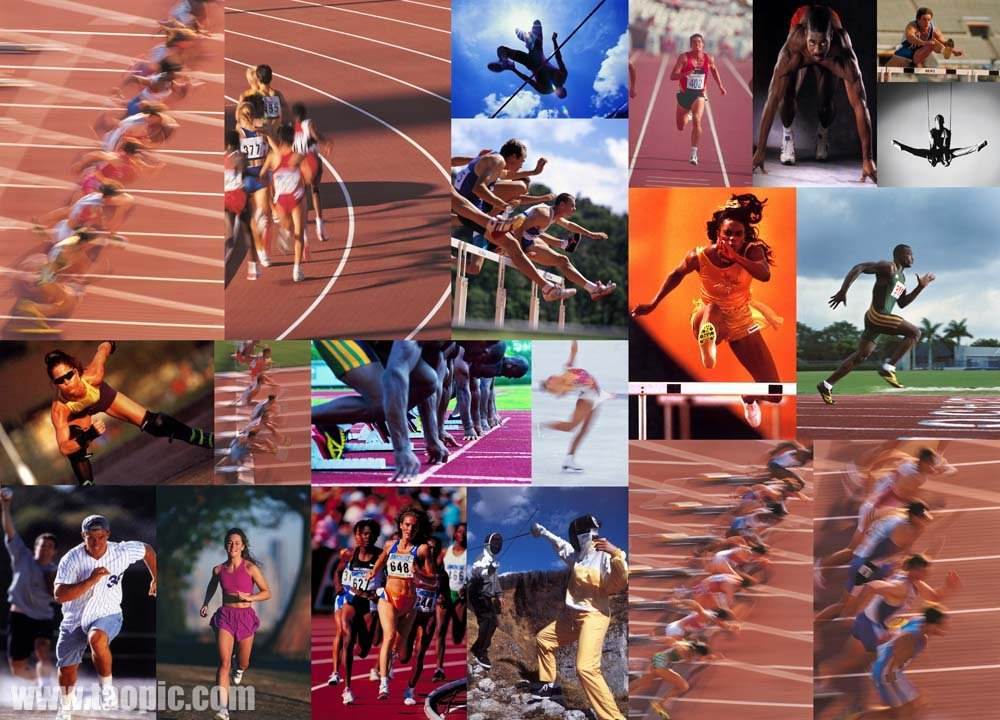 机会与国家 机会与国家